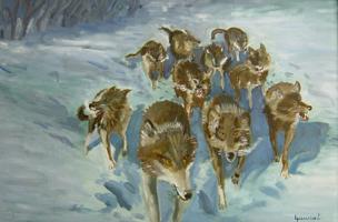 Loups huile sur carton 0,80m x 0,60m