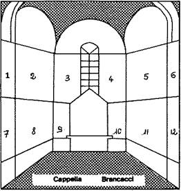 Plan des fresques  de la chapelle Brancacci